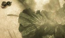 农历2019十二月十七可以剪头发吗，宜理发？