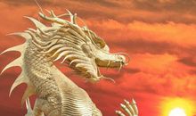 8号开始，富贵满堂，运势如虹，喜获大丰收的五大生肖