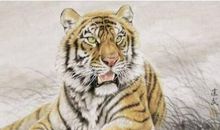 属虎2021年运势及运程详解,2021年属虎人的全年每月运势完整版