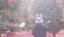 12星座成长路上会遇的故事