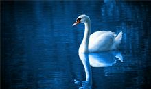 如何取一个好听的网名？(图文)