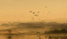 2020年农历五月出生的男孩怎么起名字，用四书五经起名