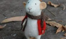 属鼠2021年运势及运程 2021年属鼠人的全年运势