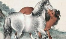 属马2021年运势及运程详解害太岁,2021年属马人的全年每月运势完整版