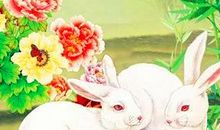 过日子能省则省的3生肖女，持家有道，管家有方，旺夫到老