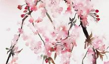 八字取名：2020年1月8号出生的男孩命运解析，起什么名字合适