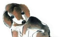 4大生肖，今年还很穷，明年转富贵，贵人帮大忙，锦鲤跃龙门