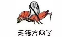 那些一天不能没有运动的星座——E星座趣谈