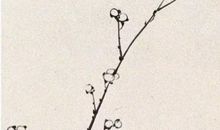 2020年5月6号四月十四生的女孩是什么命，起什么名字高分