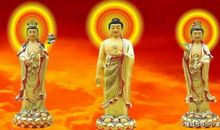 「生肖猪」，2020年三月底将遭遇一生中最大的“变故”做好准备！