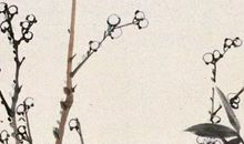 2020年5月7号四月十五生的女孩是什么命，起什么名字涵义好