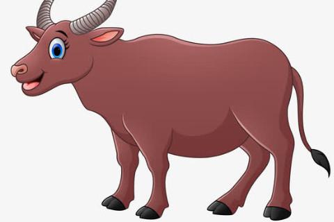 属牛2020年5月运势