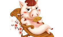 生肖猪和生肖马的合财吗？