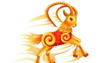 生肖羊和生肖猪的合财吗？