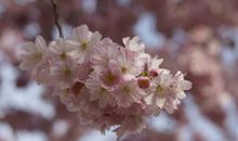 2019“惹不起”的4大生肖，熬过立秋，日子将越过越有钱！