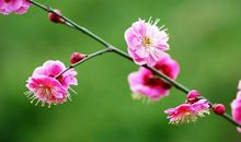 大财小财一波波！未来3周，正财稳稳升起，存款翻倍增长的3生肖