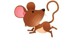 2020年属鼠生肖值太岁，值太岁是什么意思