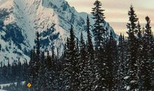 上升星座金牛座女生，年少辛苦付出，老来享受甜美果实