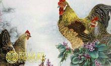 属鸡本命年可以结婚吗