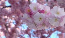 下半年被财神关照，财运与日俱增，赚钱容易的3生肖