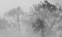 上等命格的八字好不好，上等命八字为喜用神，贵人一生如影随形