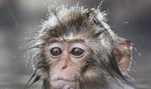 财神关照！12月下旬贵人相助，顺风顺水的4个生肖