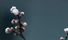 2020年农历二月出生的男孩子怎么取名