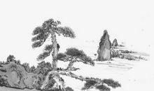 1971年子时出生的生肖属猪人命好吗，终身财气较好，常有贵人扶持