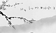 上等命的生肖，属牛富贵吉祥，属龙无忧无虑，属鸡后福无穷