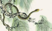 玄清风水命理：未来半个月将会有幸运降临的3生肖，生活走上坡路！