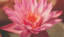 遇贵人撞财富，下个月财运全开的3生肖，诸事大吉，喜事连连