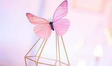 天蝎座最佳及最差配偶星座