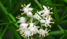 一闹毛病，旧账就翻出来，喋喋不休，说给自己说哭三大生肖！