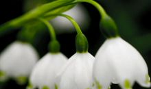 贵人来助运，福足财旺，3大生肖未来2个月财星主事，大发财富