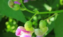 未来2年与财结缘，官运亨通的生肖，升职加薪，全家跟着享富贵