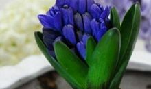 2月喜盖头！喜神进家门，龙凤交错，三大生肖有喜事