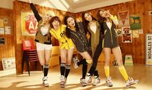 11月桃花迎面而来 朵朵质量高的四大星座