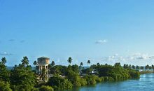 11月好运不断的4个生肖，财运大门，升职加薪