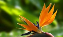 得财神宠爱，11月份一改往日低沉的3大生肖，咸鱼翻身！