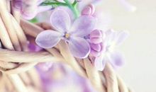 十人有九富的生肖，11月起财神进门，事事如意，注定福禄双全