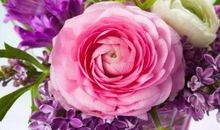 一生为家庭劳苦的生肖，帮夫益子，家中财富满溢，从不为钱发愁