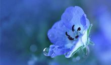 五格姓名学五行相生相克吉凶详解