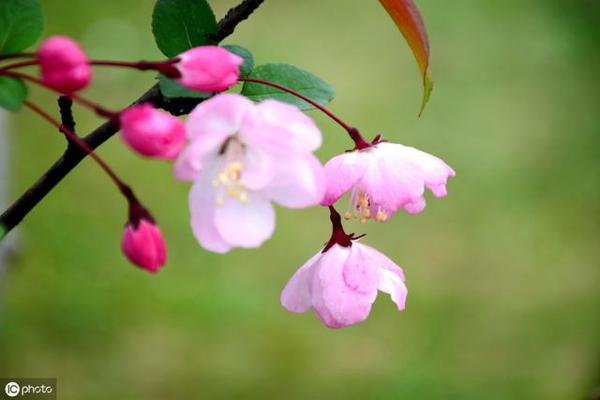 没有隔夜仇的3对生肖夫妻，生活和谐，很少会吹胡子瞪眼