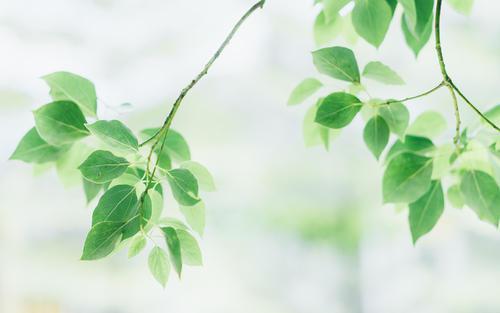 最擅长装傻的三大星座，情愿被人无视，实际上城府极深，做事讲究