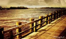 11月8号运势上上签，流年大吉大利，四生肖福禄有余