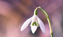 10月下旬开始不得不富的生肖，闷声发大财赚大钱，事事顺心如意