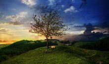 算命的说：三大生肖11月运势了不得，横财也常发