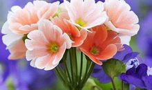 一生最重义气的生肖，未来8年实现钱权双赢，事业顺遂，后福无穷