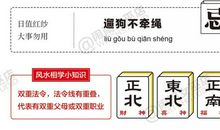 星历1019：狮子有点迷糊 处女举棋不定