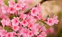 缺啥都不缺钱的生肖，未来十年富贵最多，连连大大财，越过越有钱